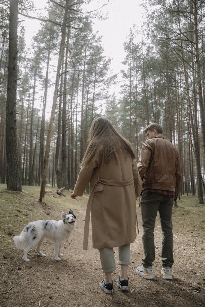 A couple walking their border collie through a peaceful forest path, enjoying nature.