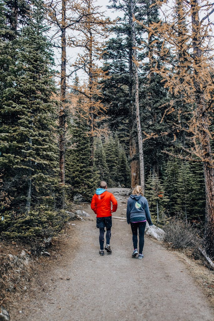 A man and woman hike through a snowy path surrounded by tall trees on a serene winter day.